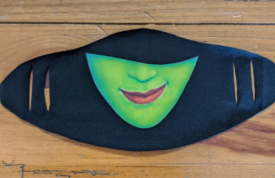 Elphaba Face Covering